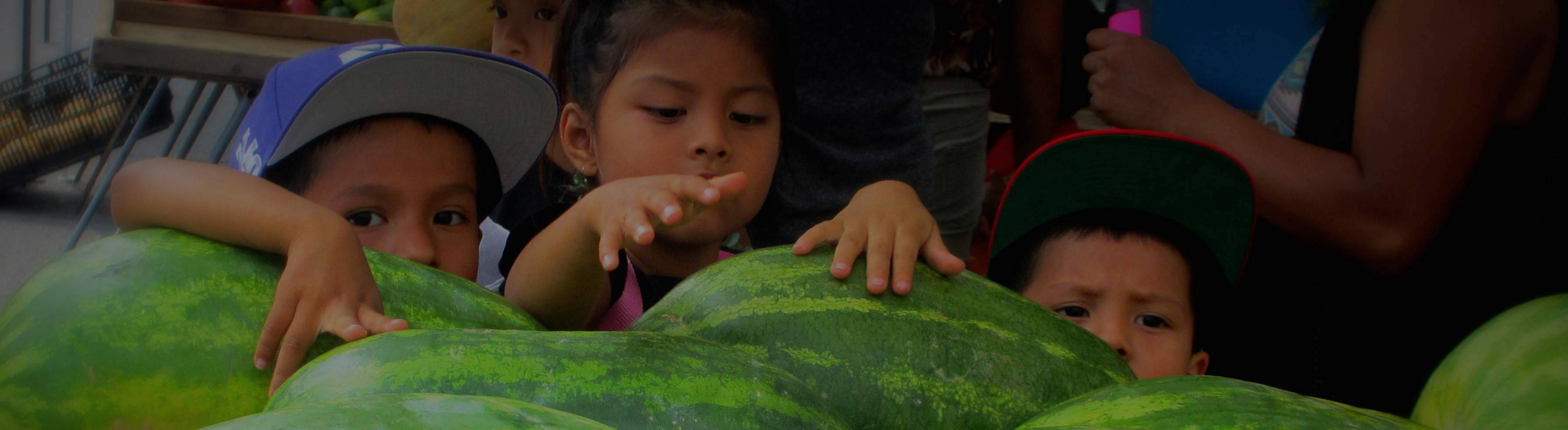 Melons and Kids_wide copy
