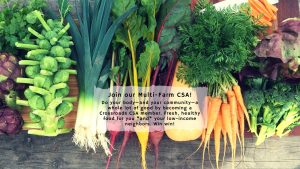 The best CSA in Takoma Park, MD, with the freshest, tastiest fruits and vegetables