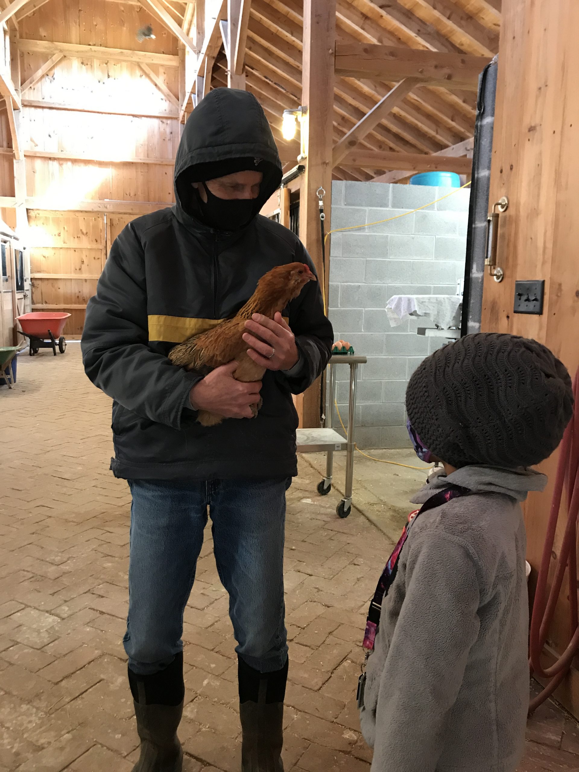 Ladybrook Farm Visit Crossroads Community Food Network